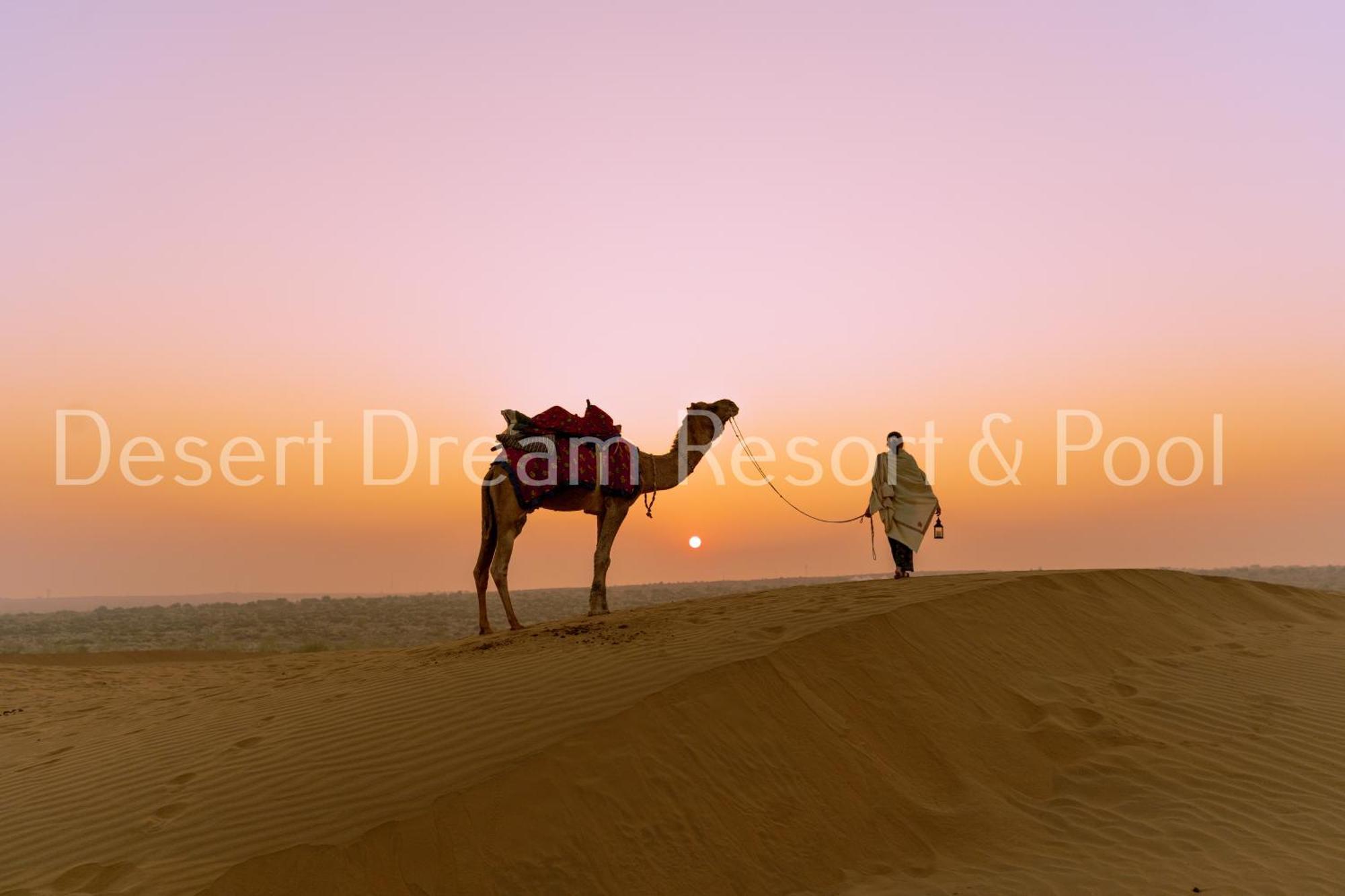 Desert Dream Royal Camp & Pool 斋沙默尔 外观 照片